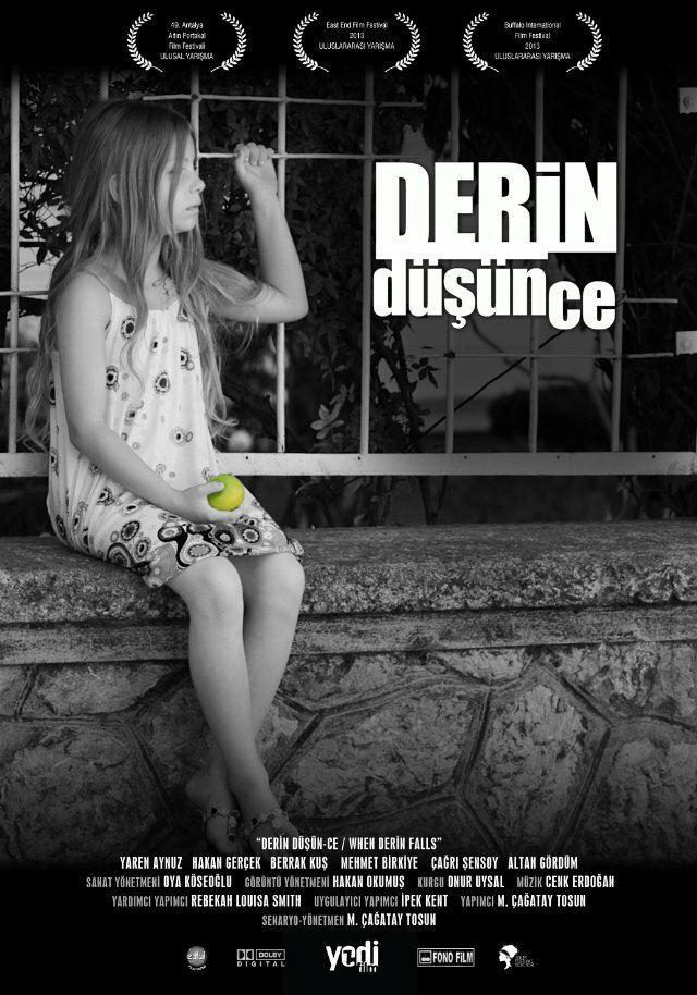 Derin Düsün-ce (2013)